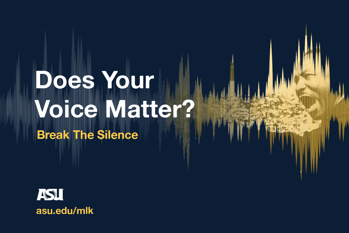 Does Your Voice Matter
